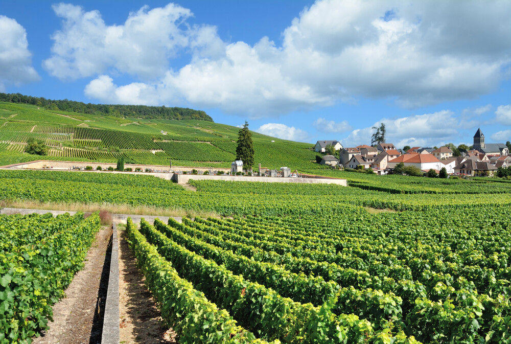 10 faits surprenants sur l'histoire du champagne